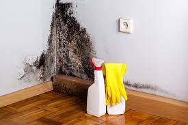 Best Basement Mold Removal  in Groesbeck, OH